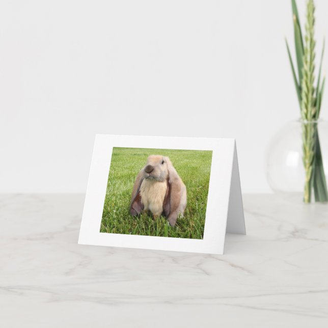 English Lop Rabbit Note Cards (Front)