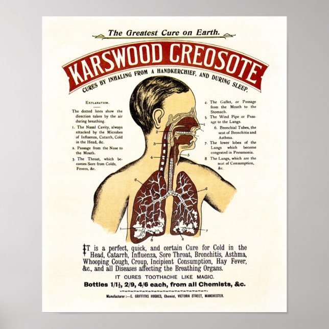 ENGLISH LUNG DISEASE CURE - CREOSOTE  1910 POSTER (Front)