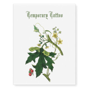 English mandrake yellow flowers and red bryony temporary tattoos