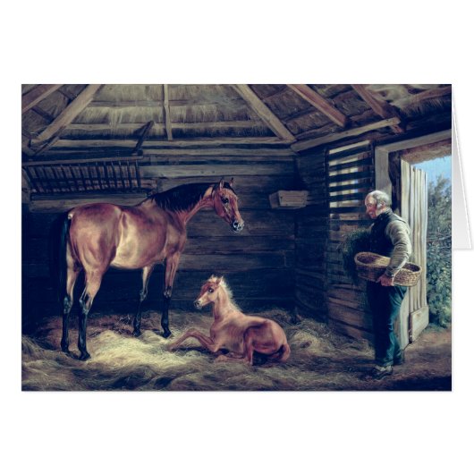 English Mare With Her Foals, 1833 Cards (Front Horizontal)