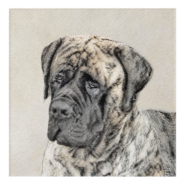 English Mastiff (Brindle) Painting - Dog Art (Front)