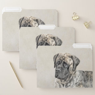 english mastiff stuff