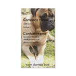 English Mastiff Dog Business Card