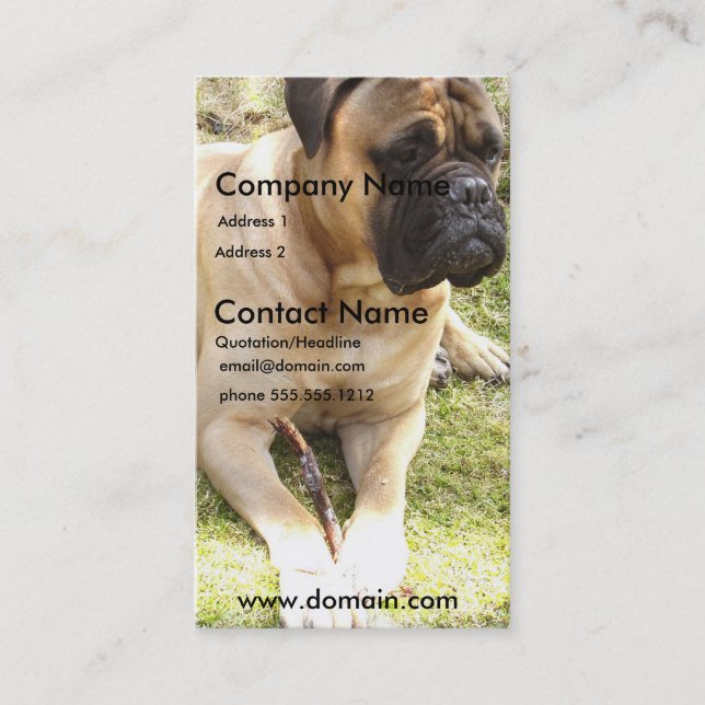 English Mastiff Dog Business Card (Front)