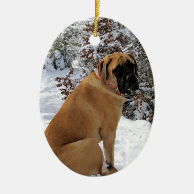 English Mastiff dog "Snow Pose" photo Ceramic Ornament (Front)
