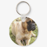 English Mastiff Keychain