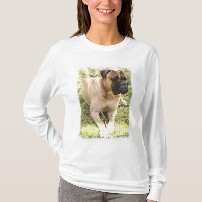 English Mastiff Ladies Long Sleeve T-Shirt (Front)