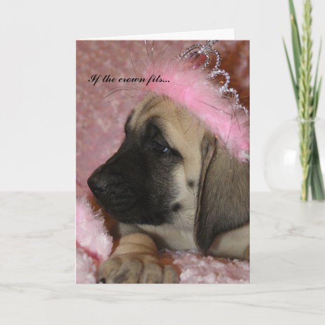 English Mastiff Puppy crowned princess Card (Front)