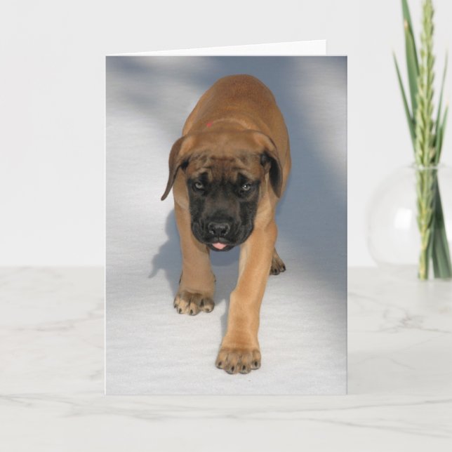 English Mastiff Puppy notecard (Front)