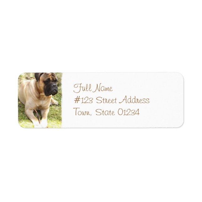 English Mastiff Return Address Label (Front)