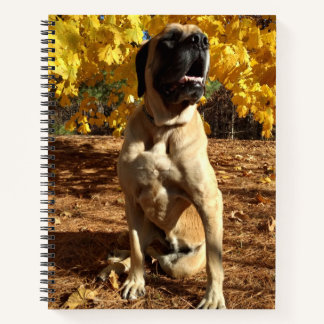 English Mastiff spiral notebook