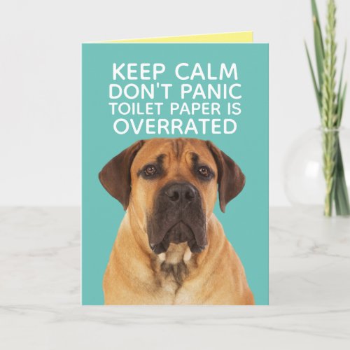 English Mastiff Staying Calm_ TP Overrated Card