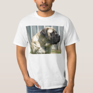 english mastiff apparel