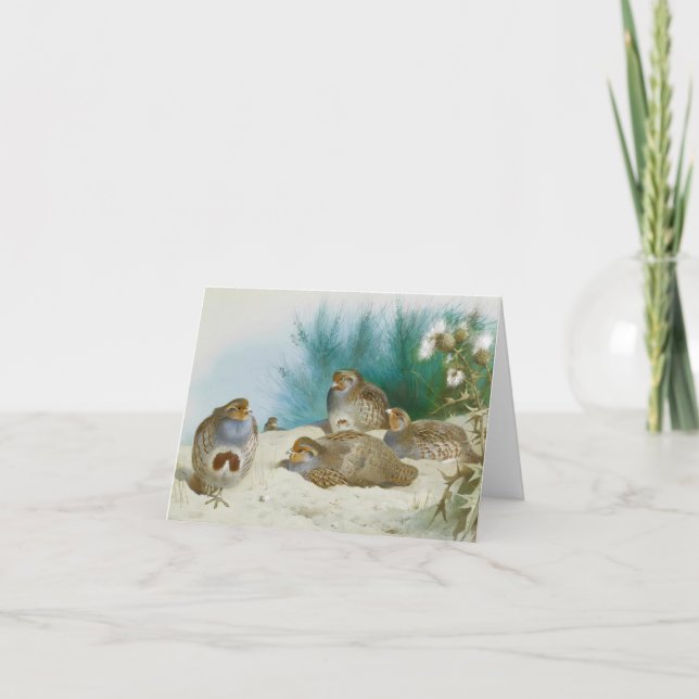 English partridge with gorse and thistles, Art Card (Front)