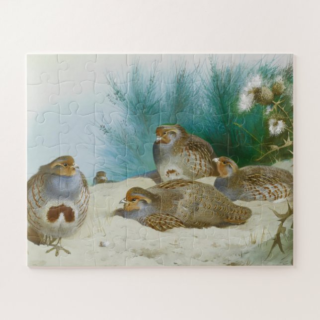 English partridge with gorse and thistles, Art Jigsaw Puzzle (Horizontal)