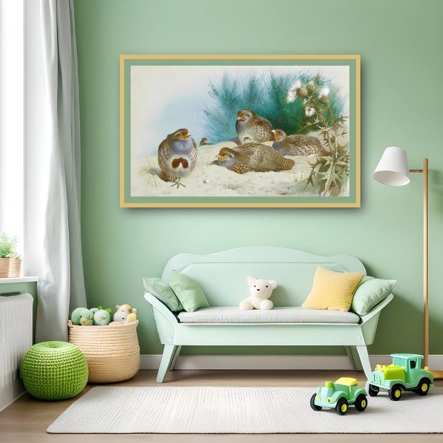 English partridge with gorse and thistles, Art Poster (Creator Uploaded)