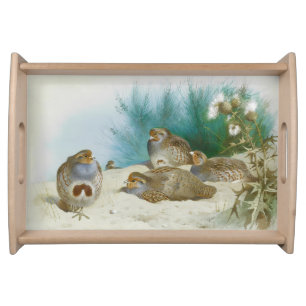 English partridge with gorse and thistles, Art Serving Tray