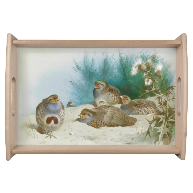 English partridge with gorse and thistles, Art Serving Tray (Front)