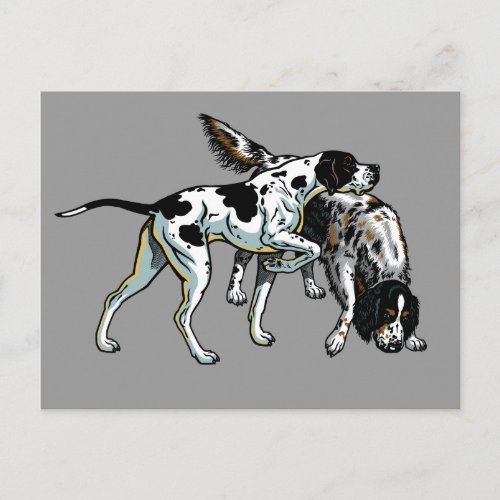 english pointer and setter postcard