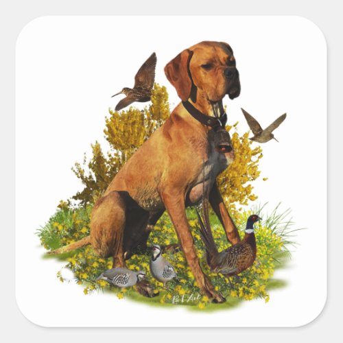 English pointer bird hunting  square sticker