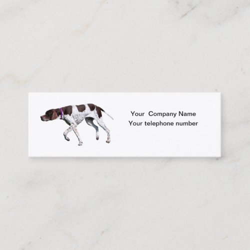 English Pointer dog beautiful photo business card