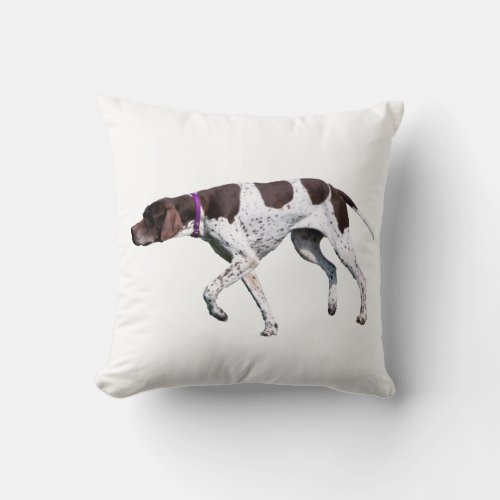 English Pointer dog beautiful photo cushion pillow