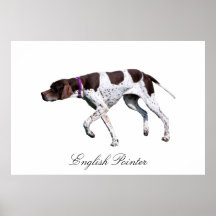 English Pointer Art Wall Décor Zazzle