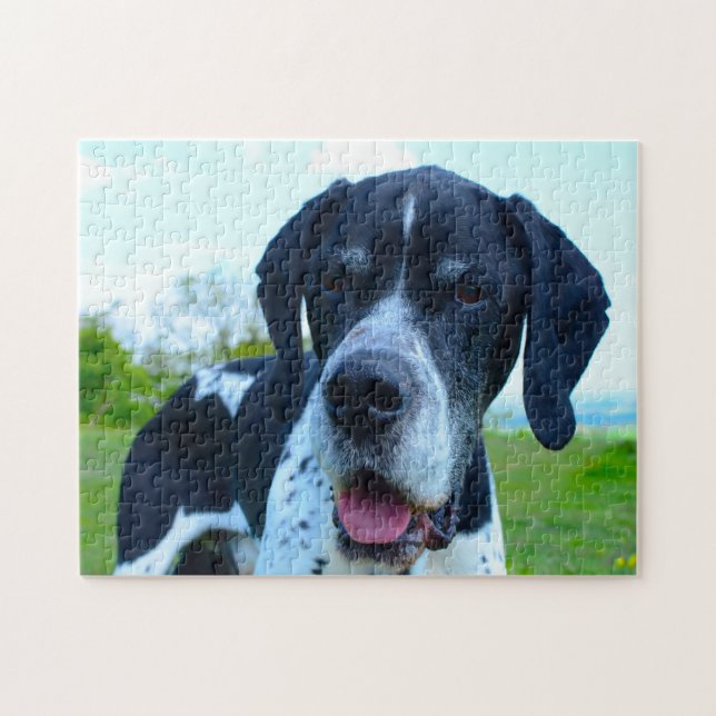 English Pointer Dog. Jigsaw Puzzle (Horizontal)