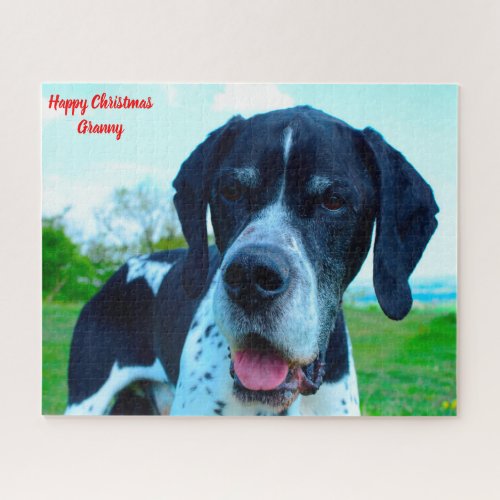 English Pointer Dog Jigsaw Puzzle