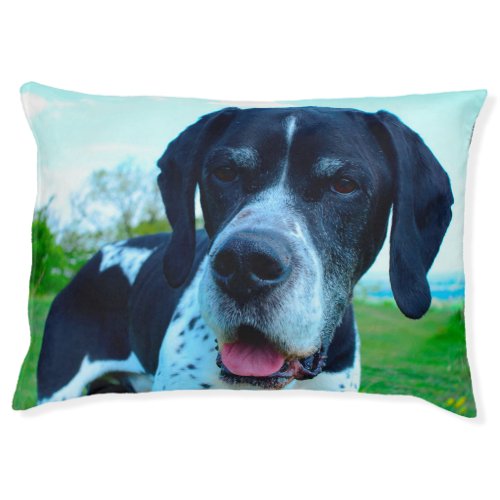 English Pointer Dog Pet Bed