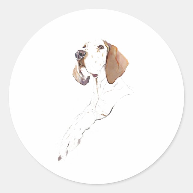 English Pointer Dog Sticker (Front)