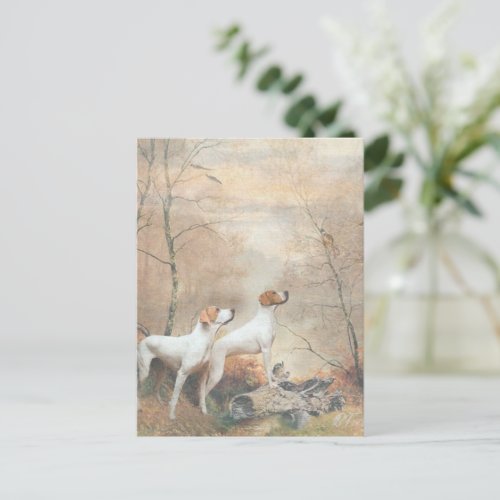 English Pointer is hunting the Pheasants    Postcard