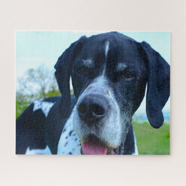 English Pointer. Jigsaw Puzzle (Horizontal)