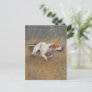 English Pointer Paperweight Acrylic Print Triptych Postcard