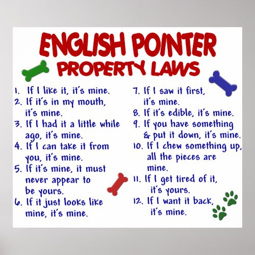 ENGLISH POINTER PL2 POSTER