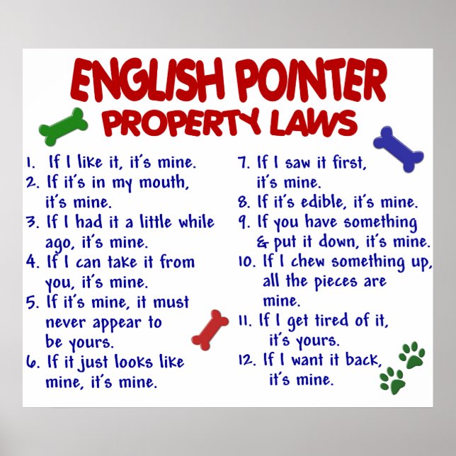 ENGLISH POINTER PL2 POSTER (Front)