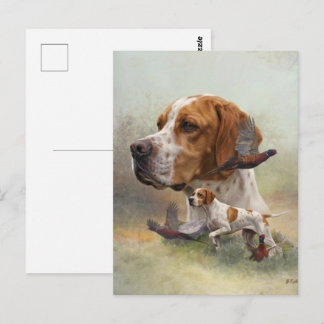 English Pointer Postcard