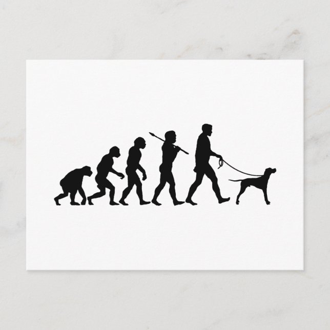 English Pointer Postcard (Front)