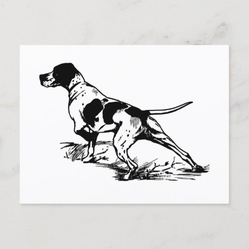 English Pointer Postcard