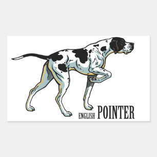 english pointer rectangular sticker