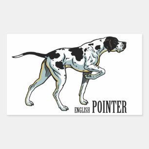 english pointer rectangular sticker