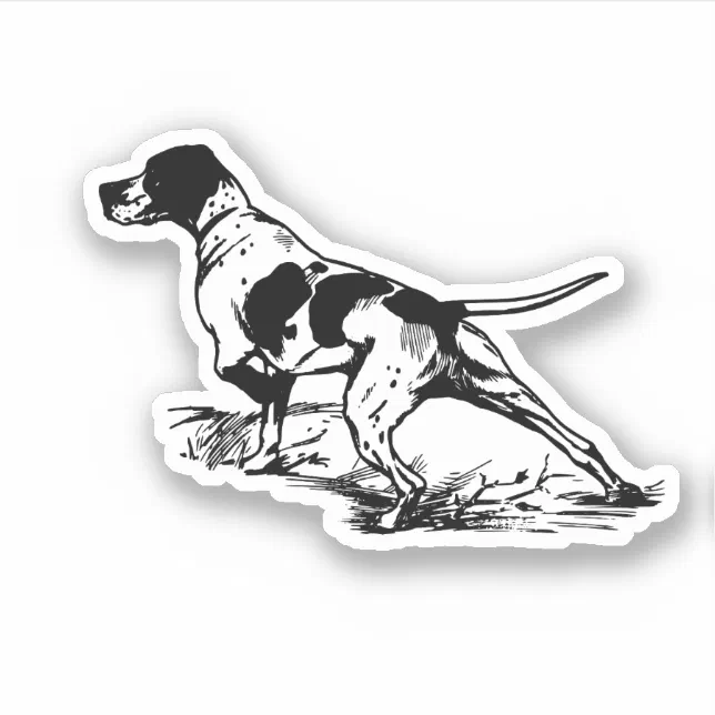 English Pointer Sticker | Zazzle