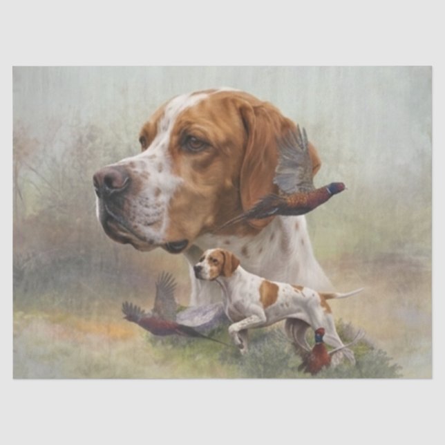 English Pointer Tissue Paper (Front)