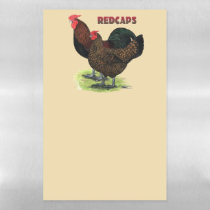 English Redcaps Magnetic Dry Erase Sheet