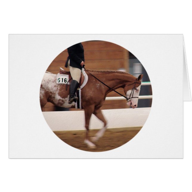 English Riding Cards (Front Horizontal)