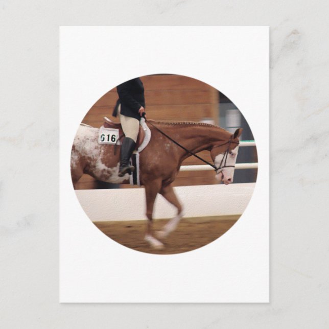 English Riding Postcard (Front)