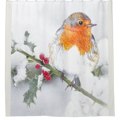 English Robin Winter Holly Berries Christmas art Shower Curtain