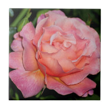 English Rose Ceramic Tile