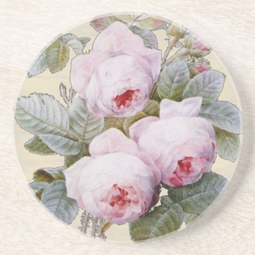 English Rose Garden Bourbon Pink Floral Sandstone Coaster