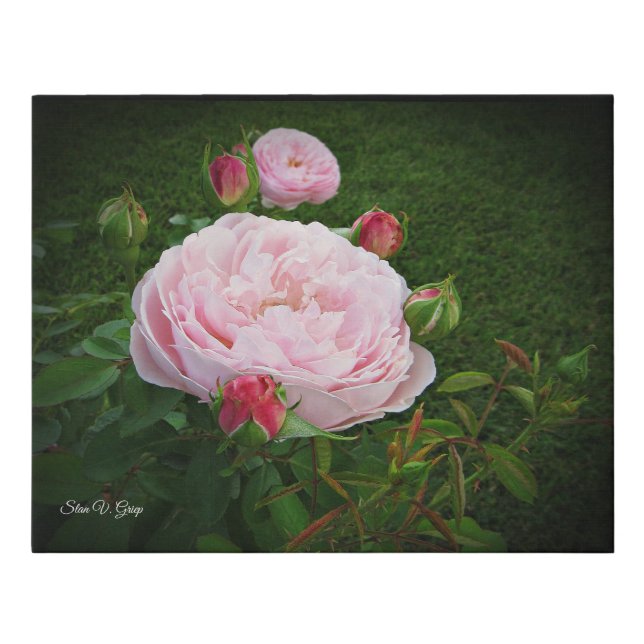 English Rose Queen & Her Ladies In Waiting Art Faux Canvas Print (Front)